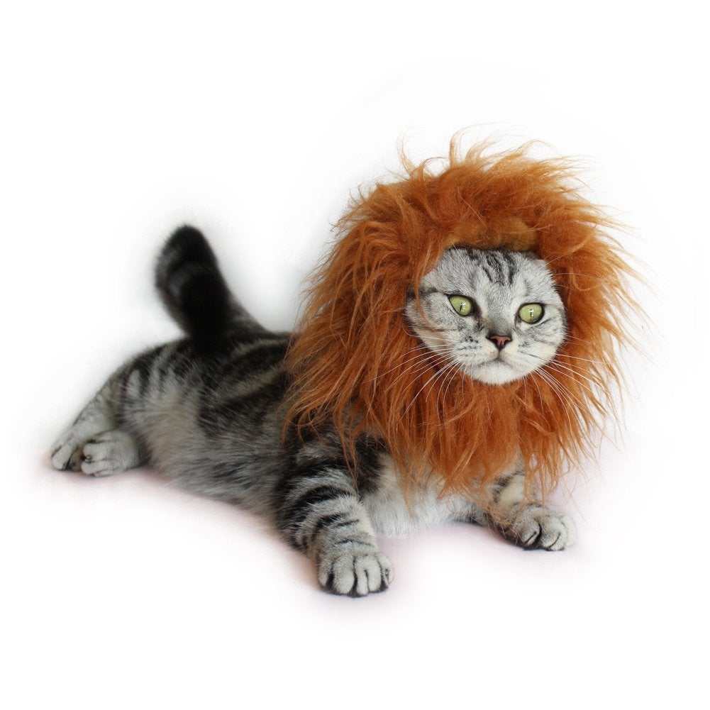 cat halloween costume cat halloween costume